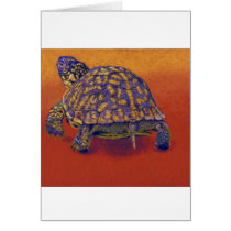 Box Turtle, tortoise Greeting Card