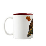 Box Turtle With Autumn Leaf Coffee Mugs