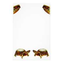Box Turtles Stationery