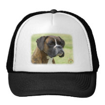 Boxer 9J096D-21 Mesh Hat