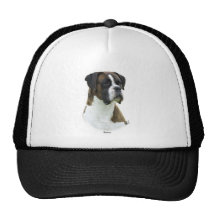 Boxer 9K65D-24 Mesh Hat