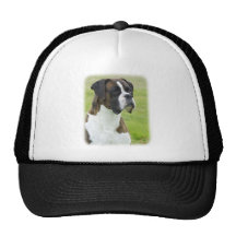 Boxer 9K66D-04 Hats