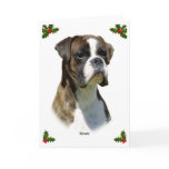 Boxer 9P41D-077oval cards