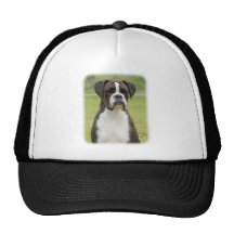 Boxer 9R014D-029 Mesh Hats
