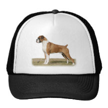 Boxer 9Y349D-036 Mesh Hats