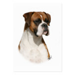 Boxer 9Y349D-079 business cards