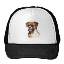 Boxer 9Y554D-123 Hats