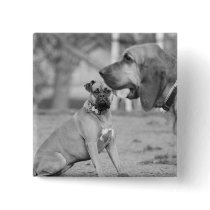 Boxer and bloodhound button
