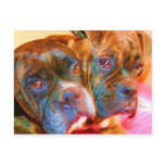 Boxer Art postcard