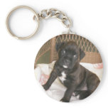 Boxer Baby! keychains