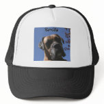 Boxer:  Boxilla Trucker Hats