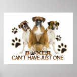 Boxer Cant's have just one Poster