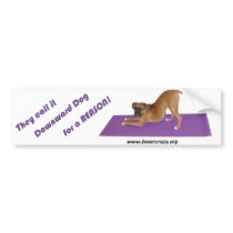 Boxer Crazy Bumpersticker - Yoga Bumper Sticker