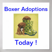 Boxer Dog Adoptions Today Signs