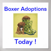 Boxer Dog Adoptions Today Signs Poster