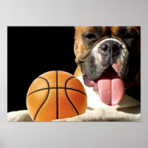 Boxer dog basketball poster
