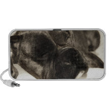 Boxer dog Doodle speaker