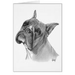 Boxer Dog Drawing cards