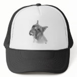 Boxer Dog Drawing hats