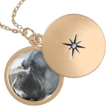 Boxer dog gold finish round locket