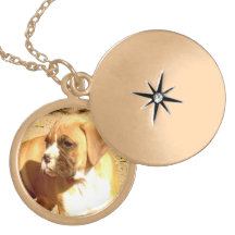 Boxer dog gold finish round locket