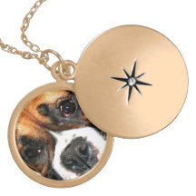Boxer dog gold finish round locket