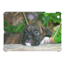 Boxer dog ipad Mini Case