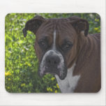 Boxer Dog mousepads