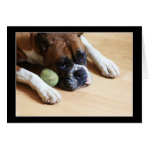 Boxer dog notecard