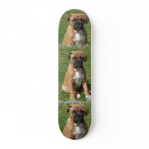 Boxer Dog Skateboard