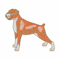 Boxer Polo