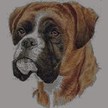 Boxer Head t-shirts