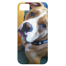 Boxer Love iPhone 5 Covers