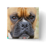 Boxer Pin buttons