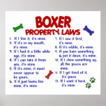 BOXER PL2 PRINT