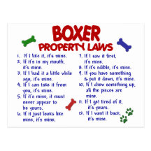 Boxer Property Laws 2 Postcards