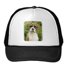 Boxer pup 9Y049D-044_2 Mesh Hat