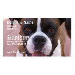 Boxer Pup Business Card