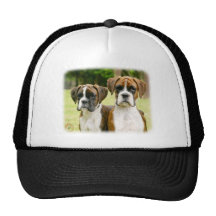 Boxer puppies 9Y049D-064 Mesh Hat