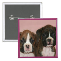 Boxer Puppies button Pin