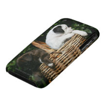 Boxer Puppies in Basket iPhone 3 Covers