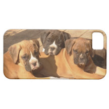 Boxer puppies iPhone 5 Barely There Universal Case iPhone 5 Cover
