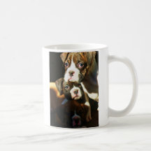 Boxer puppies mug