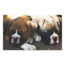Boxer puppies rectangle stickers
