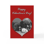 Boxer puppies Valentines Day Card