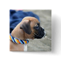 Boxer Puppy button