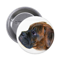 Boxer puppy button