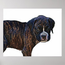 Boxer puppy canvas print