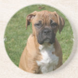 Boxer Puppy Coasters