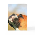 Boxer Puppy greeting card